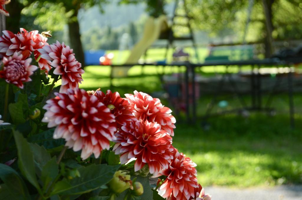 Pension Grafengut Radstadt Exteriér fotografie